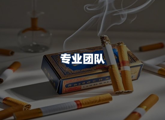 专业团队